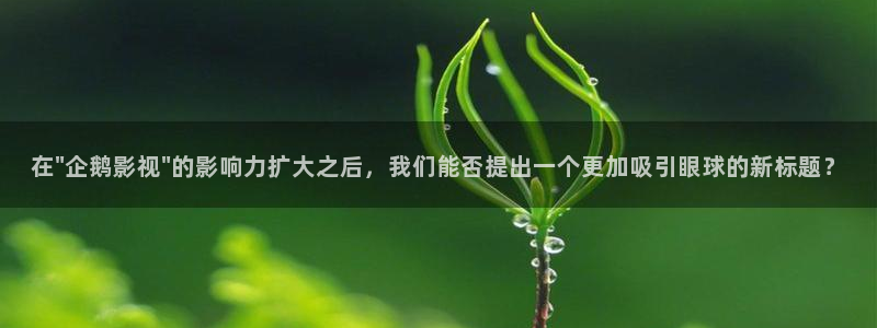 久久老b影院老女人b影院