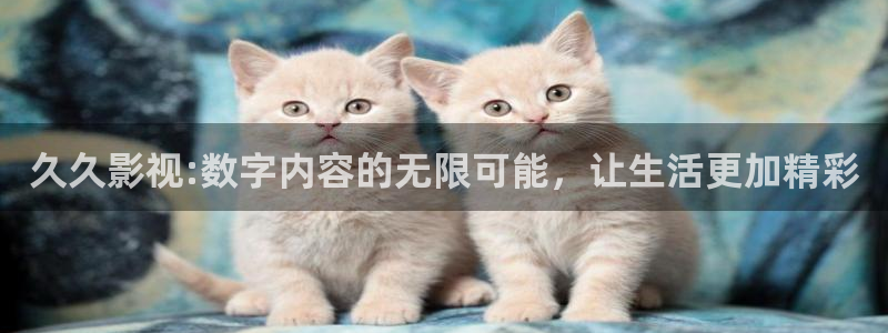 老司机电影院久久久