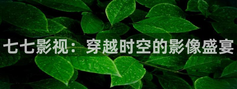 国内久久久久影院