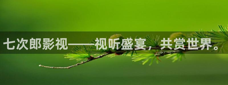 久久久午夜免费影院